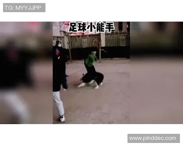 足球狗球星带球过人射门逆袭成为绿茵场上最萌传奇